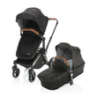 SET Passeggino Evoque + Set Colore