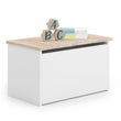 Baule portagiochi DARIA con grafica